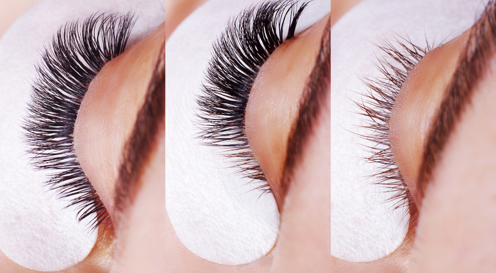 pandhlashes