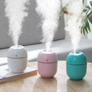 Umidificator camera roz